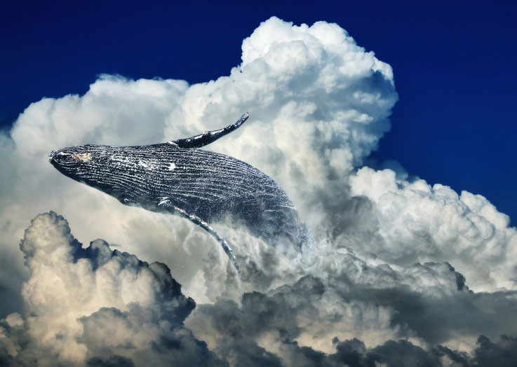 Walfisch in den Wolken